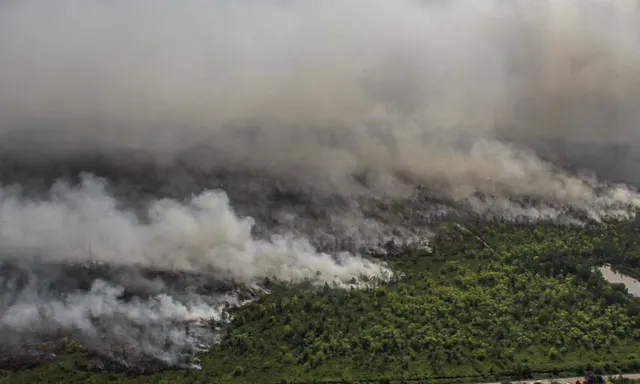 Kalimantan Terkena Kebakaran Hutan, Warganet Berdoa