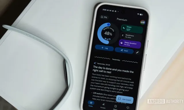 Pengiriman Google Fitbit Air Terhambat oleh Pembaruan Aplikasi yang Hilang