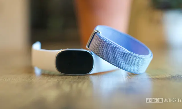 Perbandingan Fitbit Edge dan Air: Fitur Kesehatan yang Ditawarkan