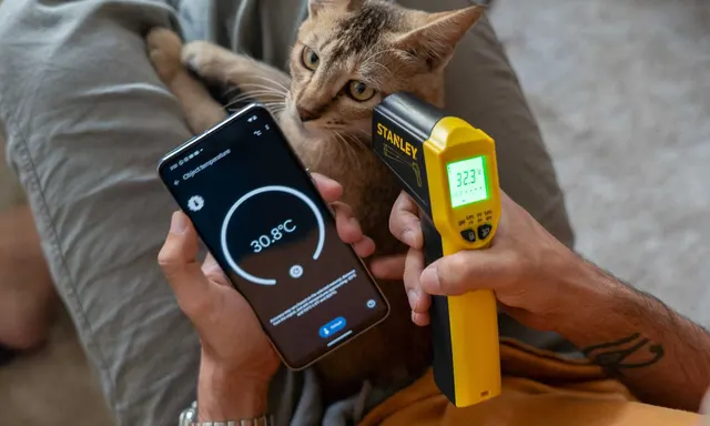 Sensor Ponsel yang Paling Sering Digunakan Menurut Survei