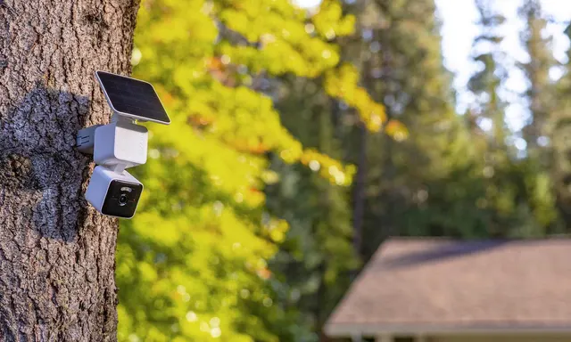 Wyze Tarik Kembali Kamera Keamanan Solar Cam Pan Karena Risiko Kebakaran