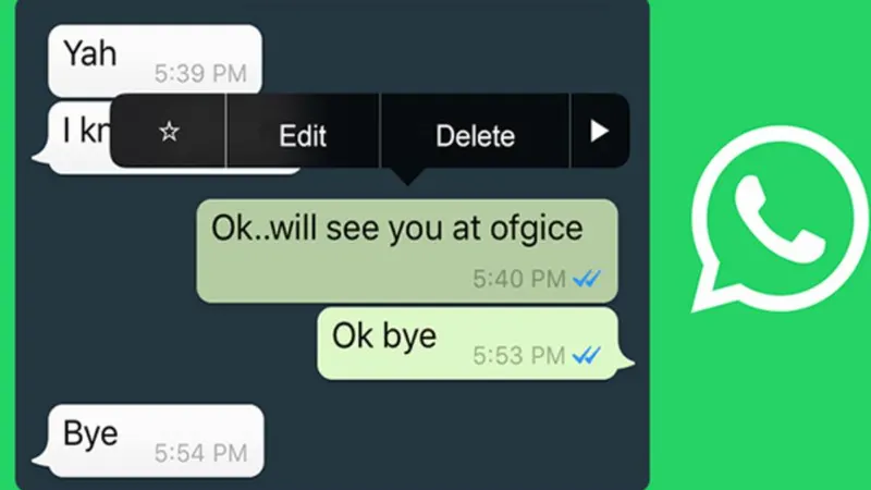 6 Tanda Nomor WhatsApp Anda Diblokir + Cara Mengonfirmasinya