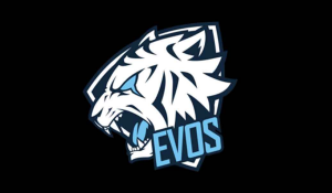 Evos Esport