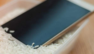 Meletakkan Ponsel Xiaomi ke Dalam Beras