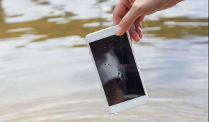 Segera Mengeluarkannya dari Air