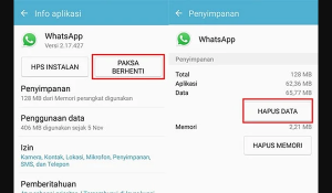 Paksa Berhenti (Hapus Data)
