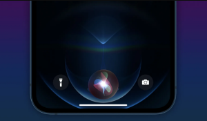 Siri yang Netral Gender