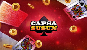 Capsa Susun