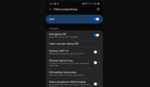 opsi pengembang Samsung