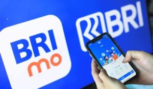 Cara Beli Paket Nex Parabola di Brimo